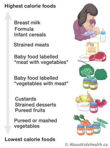 Scale of lowest calorie foods to highest calorie foods from pureed or mashed vegetables to breast milk