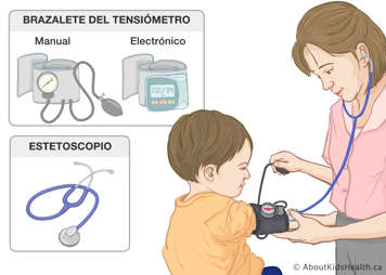 Brazalete de un tensiómetro manual y de uno electrónico y un estetoscopio