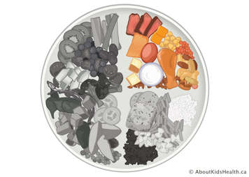 Food plate, protein