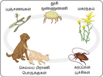 பூஞ்சணம், தூசிக் கிருமிகள், மகரந்தம், செல்லப்பிராணிகளின் உரோமம் மற்றும் கரப்பான் பூச்சி விளக்கப்படம்