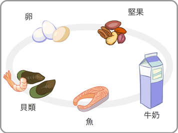 蛋、堅果、貝類、魚和牛奶示意圖