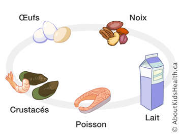 Illustration des œufs, des noix, du lait, du poisson et des crustacés