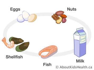 முட்டைகள், உலர்பழங்கள், மீன், நண்டு, இறால் மற்றும் பால் போன்றவற்றின் விளக்கப்படம்