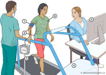 Child on a treadmill wearing a blood pressure cuff, electrocardiograph (ECG) sensor and leads to the ECG