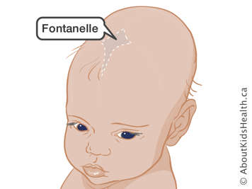 Fontanelle on the top of a baby’s head