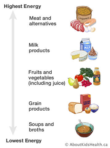 Scale of lowest energy foods to highest energy foods from soups and broths to meat and alternatives