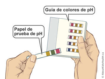 Papeles indicadores del pH y una gu&iacute;a de colores seg&uacute;n el pH
