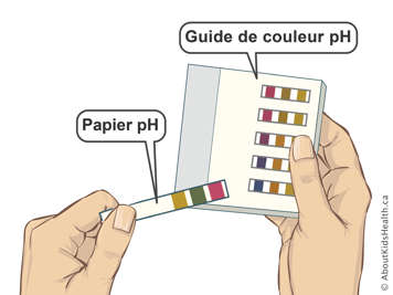 Papiers de test pH et guide de couleurs pH