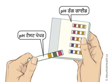pH ਟੈਸਟ ਪੇਪਰ ਅਤੇ pH ਰੰਗ ਗਾਈਡ