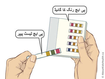  پی ایچ ٹیسٹ پیپرز اور ایک پی ایچ رنگدارگائیڈ