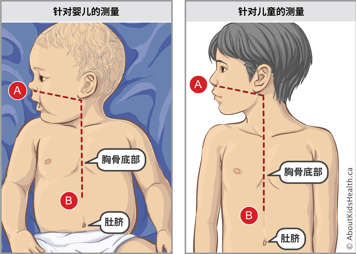 对婴儿和较大儿童进行测量，并确定两人胸骨底部和肚脐的位置