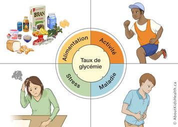 Une illustration des facteurs qui peuvent affecter le taux de glyc&eacute;mie