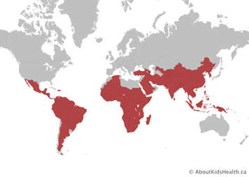 World map showing areas where there is risk of contracting malaria