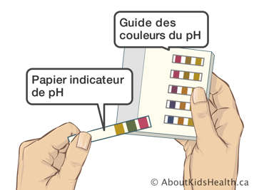 Un papier indicateur de pH et un guide des couleurs du pH