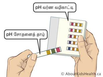 pH சோதனைத் துண்டுகள் மற்றும் pH நிற வழிகாட்டி