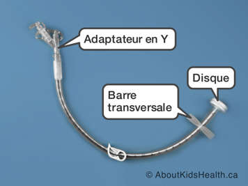 Adaptateur en Y, barre transversale et disque sur une barre en T ou transversale (dispositif à fixation)