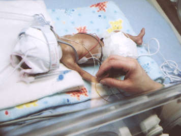 Extremely preterm baby lying in isolette with parent holding hand