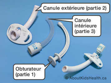 Obturateur, canule extérieure et canule intérieure d’un tube de trachéostomie