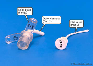 two-part tracheostomy tube showing neck plate (flange), outer cannula and obturator